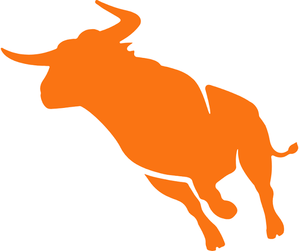 Bullhorn